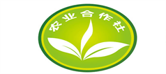 農(nóng)民專(zhuān)業(yè)合作社