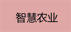 智慧農(nóng)業(yè)