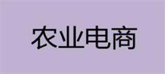 農(nóng)業(yè)電商
