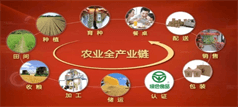 農(nóng)業(yè)全產(chǎn)業(yè)鏈