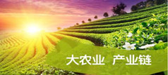 農(nóng)業(yè)產(chǎn)業(yè)鏈